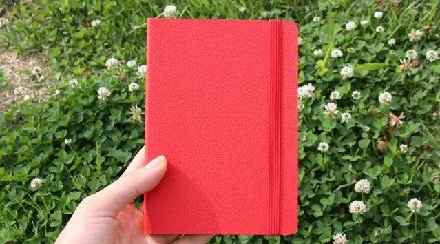 The Note Soft_ S - Red (Line)