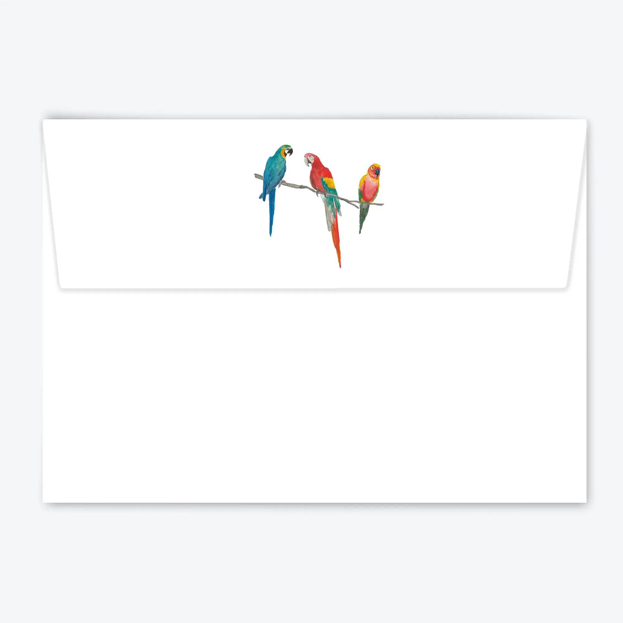 Three Parrots Letter Writing Set with Organiser