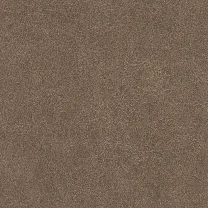 Tucson-Outback