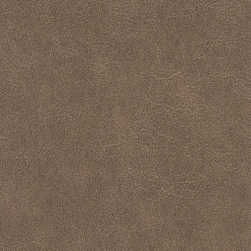 Tucson-Outback