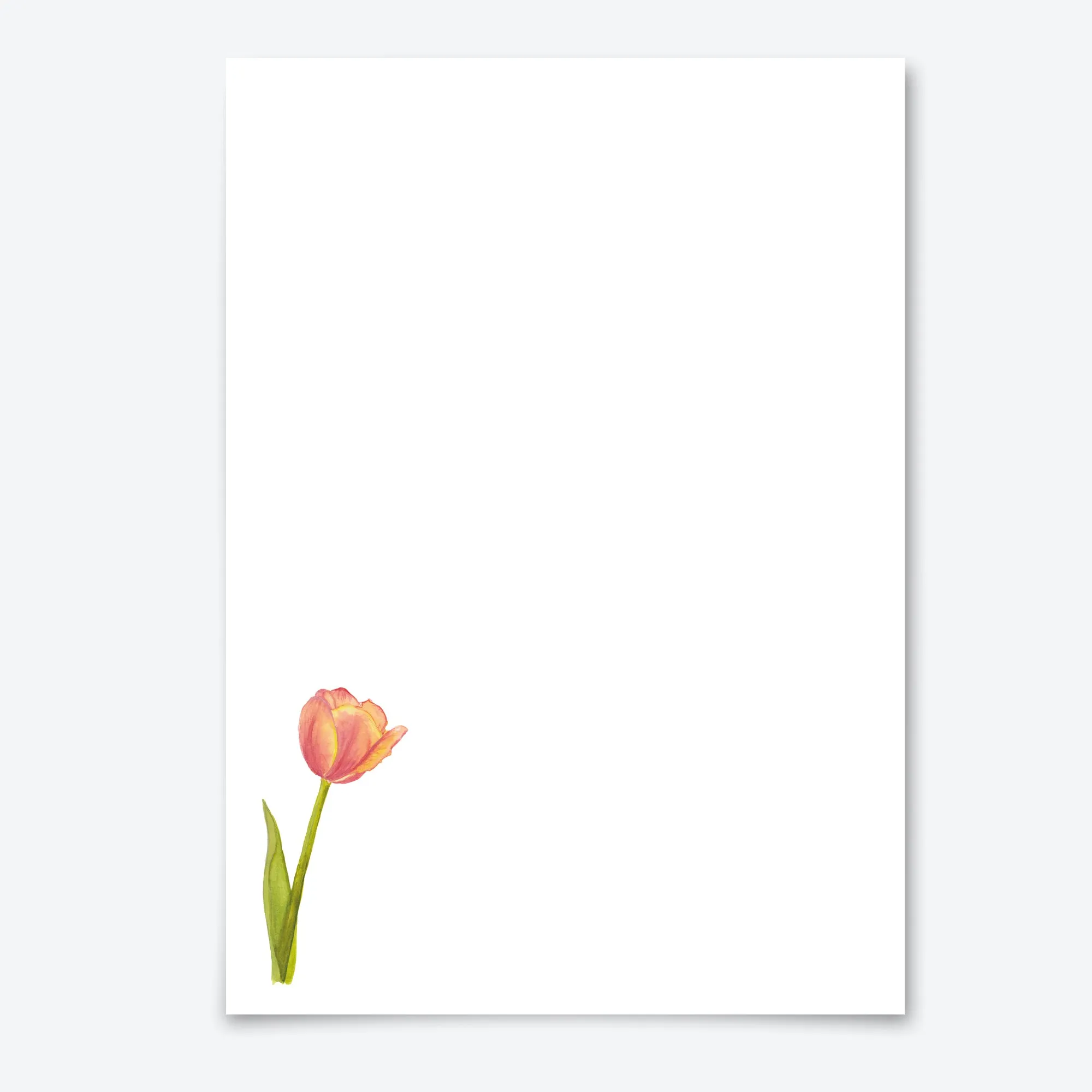 Tulip Letter Writing Set with Organiser