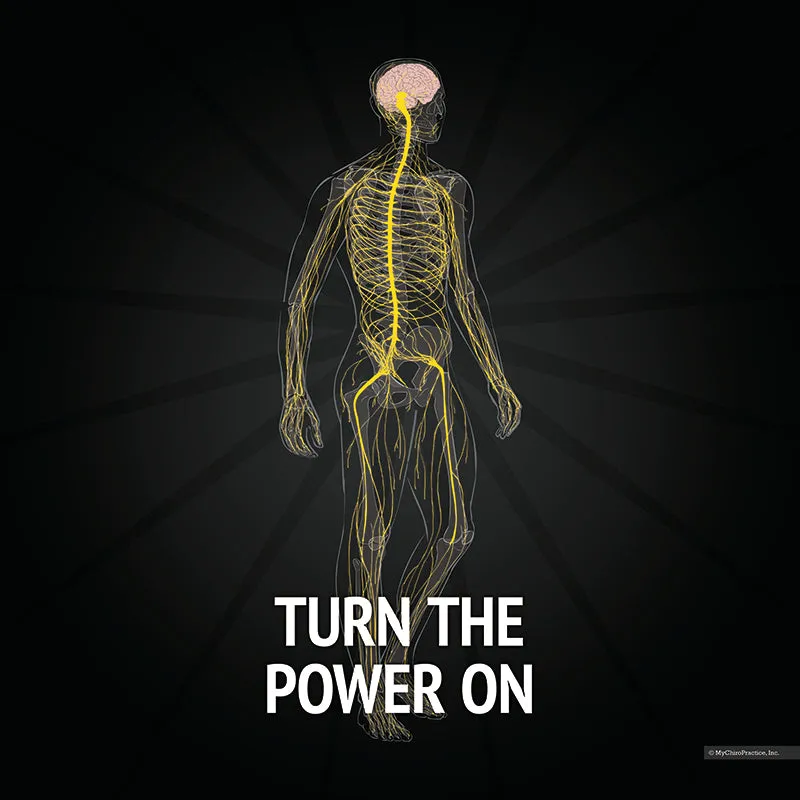 Turn the Power of Chiropractic ON