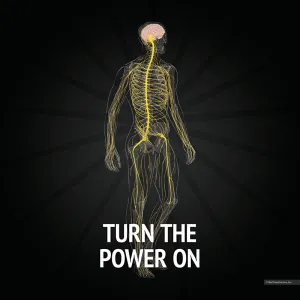 Turn the Power of Chiropractic ON