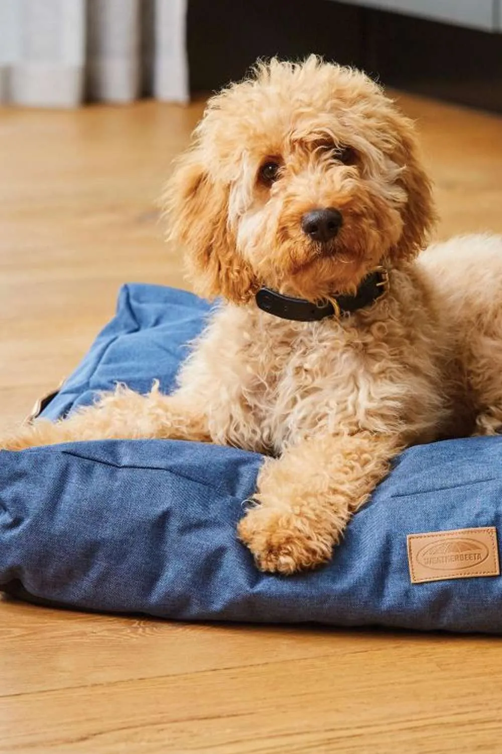WeatherBeeta Pillow Denim Dog Bed