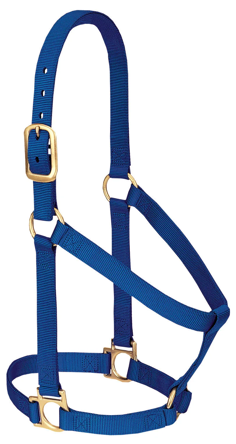 Weaver Basic Non-Adjustable Nylon Halter, 1" Large Horse (Multiple Color Options)