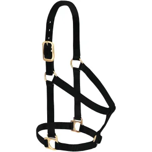 Weaver Basic Non-Adjustable Nylon Halter, 1" Large Horse (Multiple Color Options)