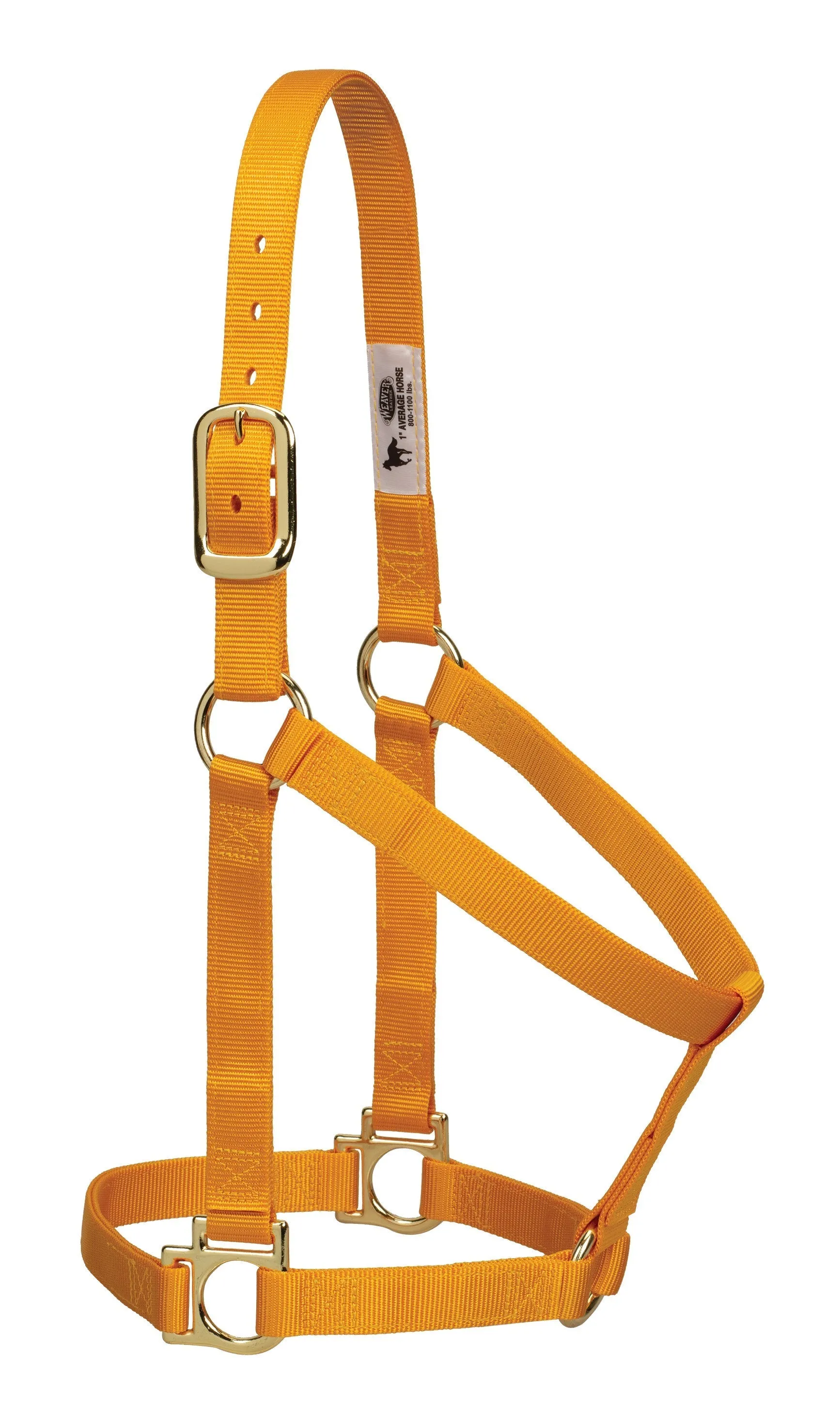 Weaver Basic Non-Adjustable Nylon Halter, 1" Large Horse (Multiple Color Options)