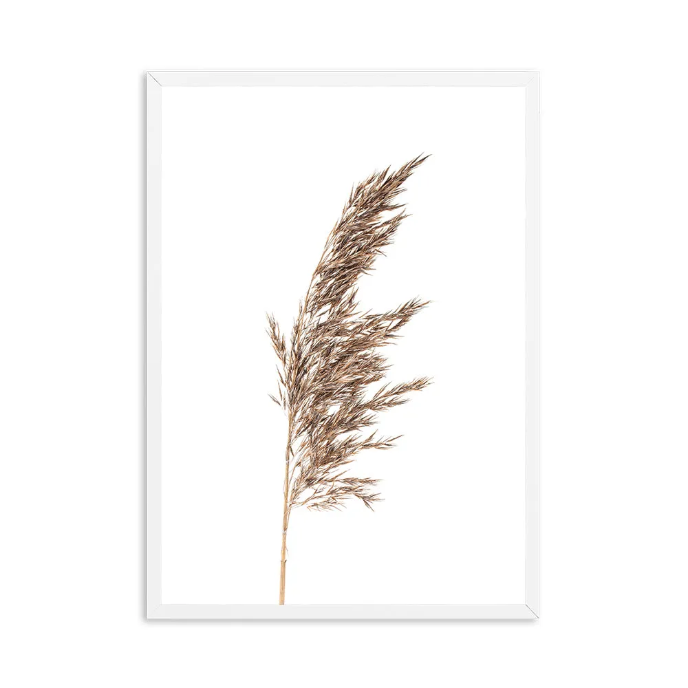 Wheat Plant Farm Quotes Wall Art