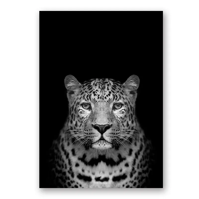 Wildlife Africa Wild Animals Black White Wall Art