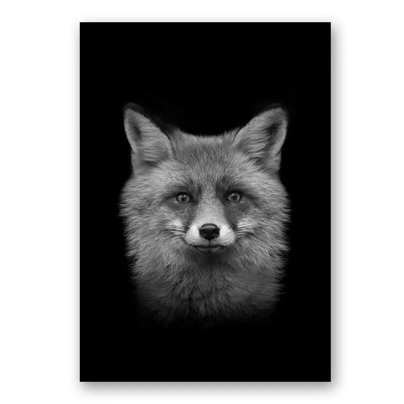 Wildlife Africa Wild Animals Black White Wall Art