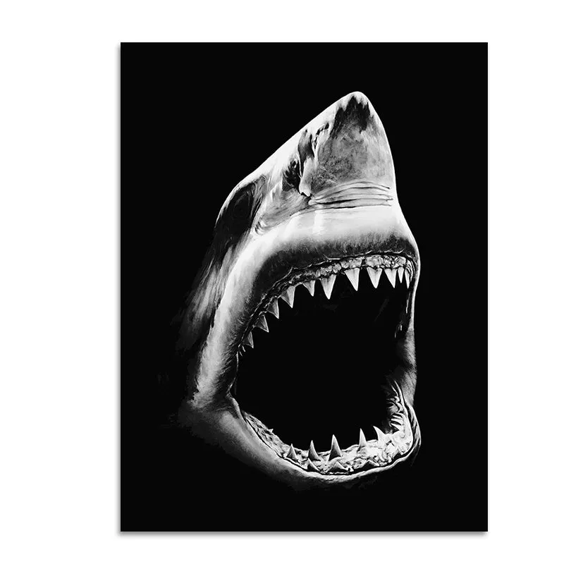 Wildlife Africa Wild Animals Black White Wall Art