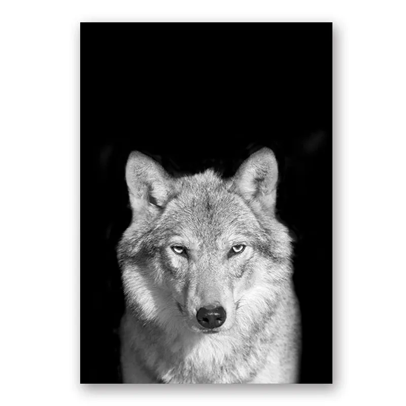 Wildlife Africa Wild Animals Black White Wall Art