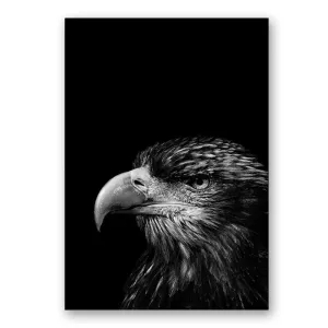 Wildlife Africa Wild Animals Black White Wall Art
