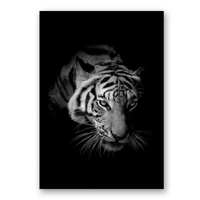 Wildlife Africa Wild Animals Black White Wall Art