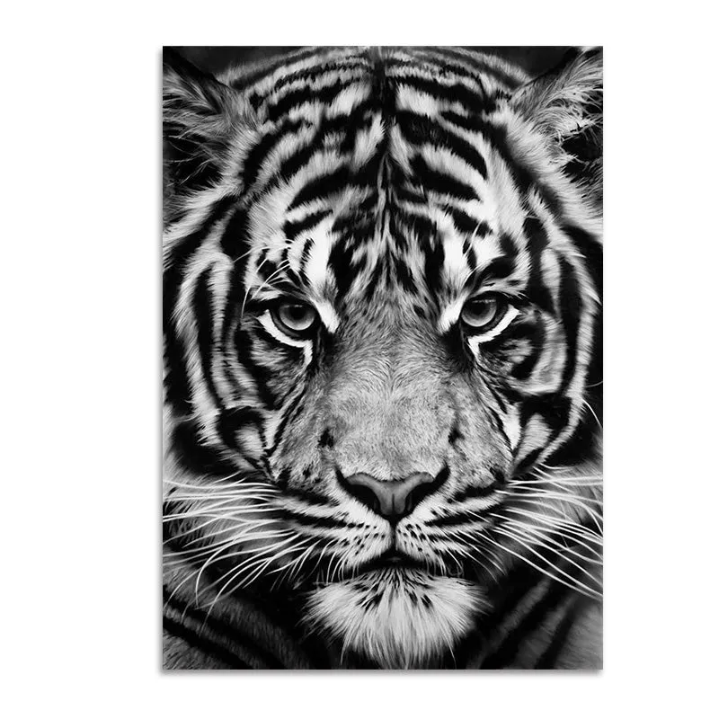 Wildlife Africa Wild Animals Black White Wall Art