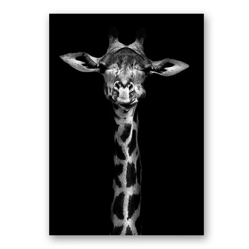 Wildlife Africa Wild Animals Black White Wall Art
