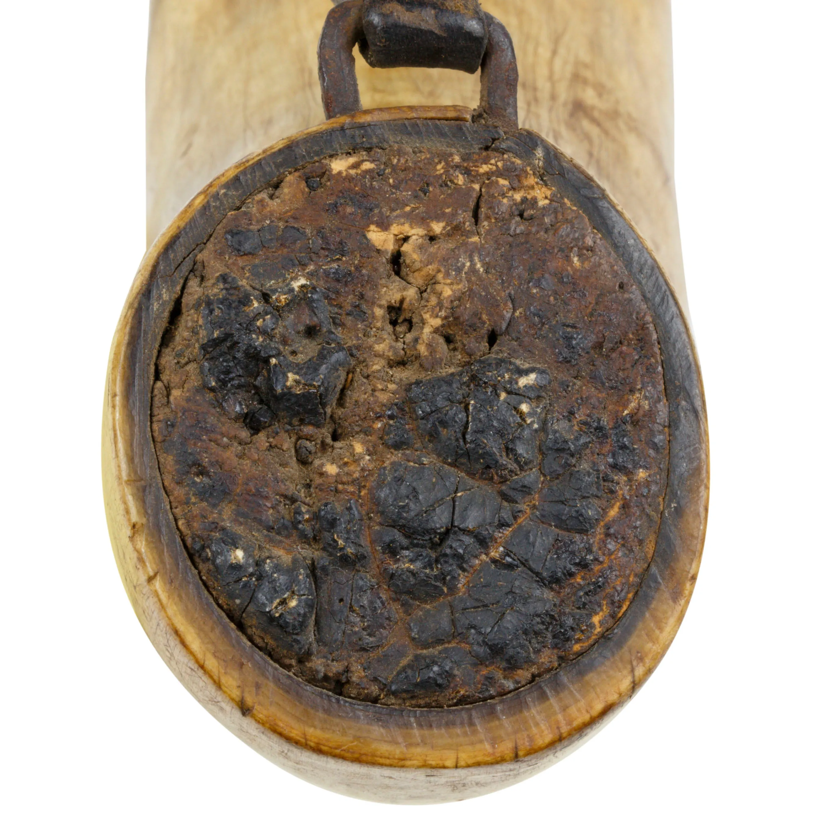 Wyoming Steer Horn Drinking Cup